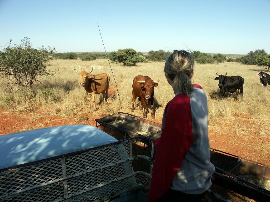 090509_South_Africa 159.jpg